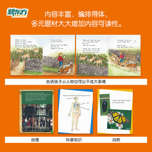 New Oriental Official Flagship Store PM Rainbow English Graded Reading Livres d'images en anglais pour enfants pour les niveaux 1 à 9 Ensemble complet Livre unique en option American Cengage Livre original pour enfants Illumination Livres d'images en anglais pour enfants âgés de 3 à 12 ans Solution de lecture anglaise intégrée Édition de lecture scientifique graduée PM Rainbow English Niveau 8 (applicable à la 5e année)