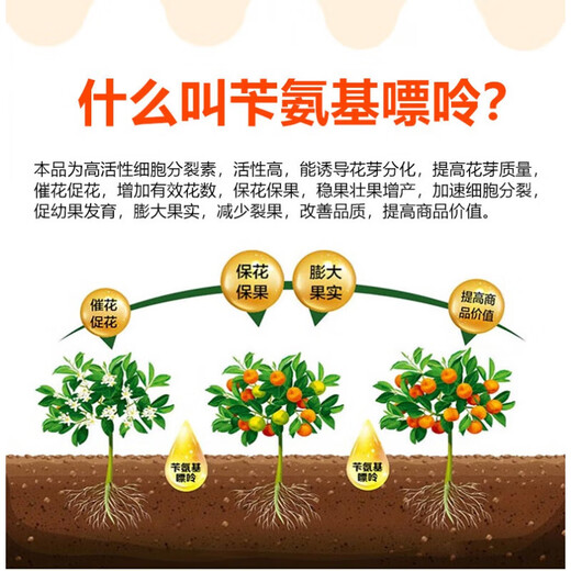 Guoguang Plant Source 2% Benzylaminopurine Citrus Fruit Tree Flower and Fruit Preserving Cytokinin Plant Growth Regulator 200ml (40 bottles 1 box)