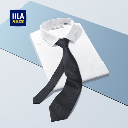 Hailan Home (HLA) Krawatte Herren High-End-Geburtstagsgeschenkbuam Formal Outfit Hochzeit Box BB Schwarze Einzelgröße