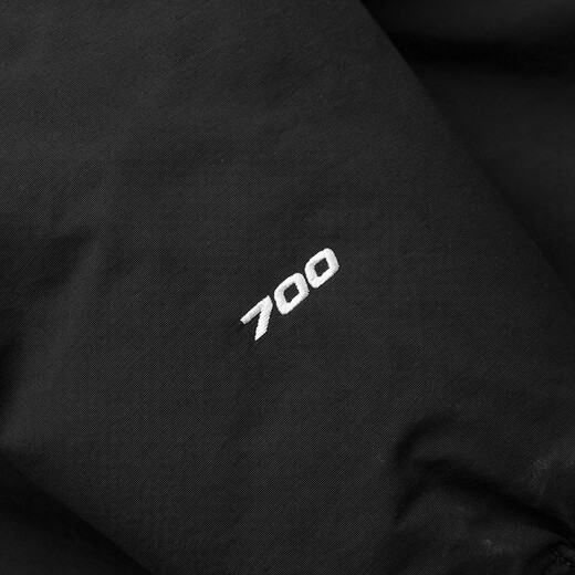 The North Face The North Face Down Jacket Men's Outdoor Windproof and Warm 700 Puff Goose Down Hooded Jacket 81SF JK3 XL/180