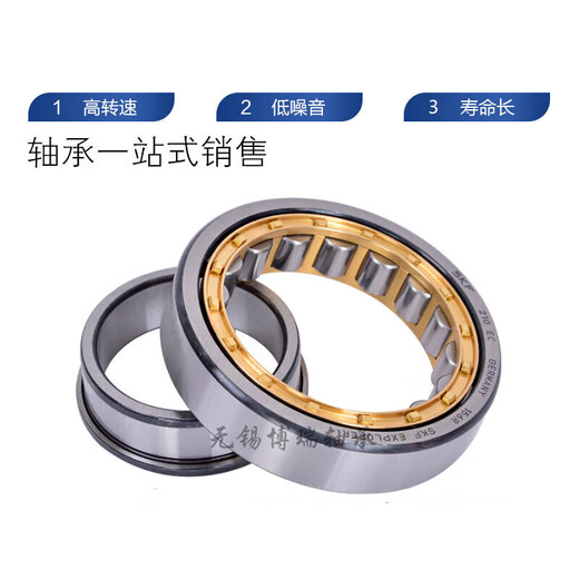 SKF cylindrical roller bearing NJ NU 220 221 222 224 226 228 ECP ECJ SKF---NJ226ECM
