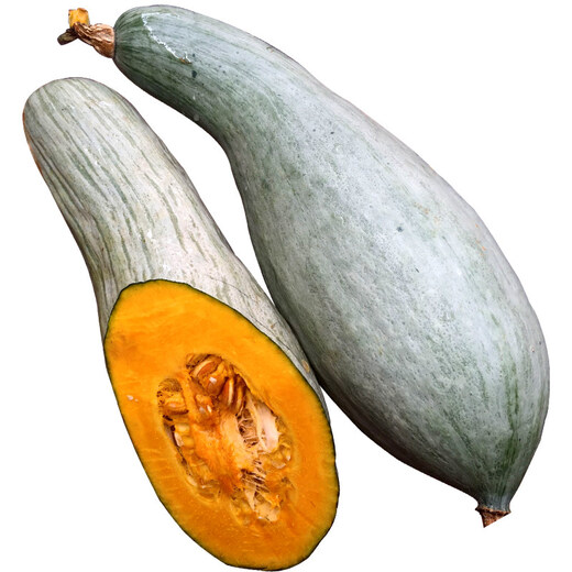 Xuli noble pumpkin seeds