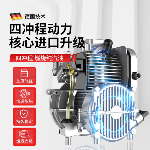 锐姿汽油吹风机背式工业用大棚吹雪机大功率森林消防风力灭火机鼓风机 四冲-背式-EB9900-纯汽油-5.8