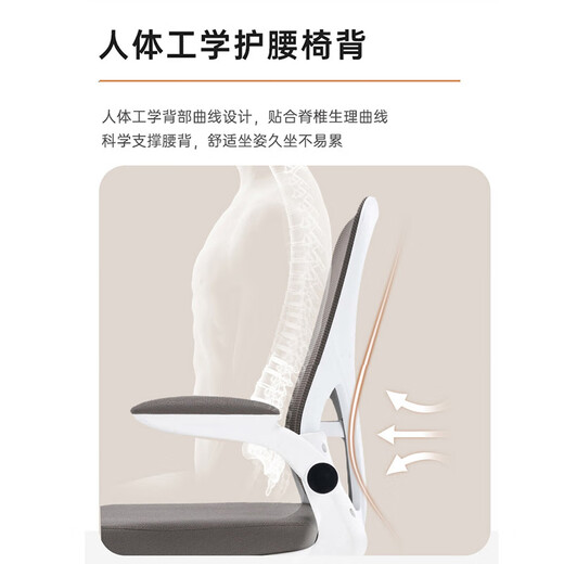 
Shukeyi Ergonomic Chair Computer Chair Lifting Office Chair Student Children's Study Chair Long-term Sit Comfortable Backrest Chair Home 983 Four-leg Study Chair-Pure Black + Latex
