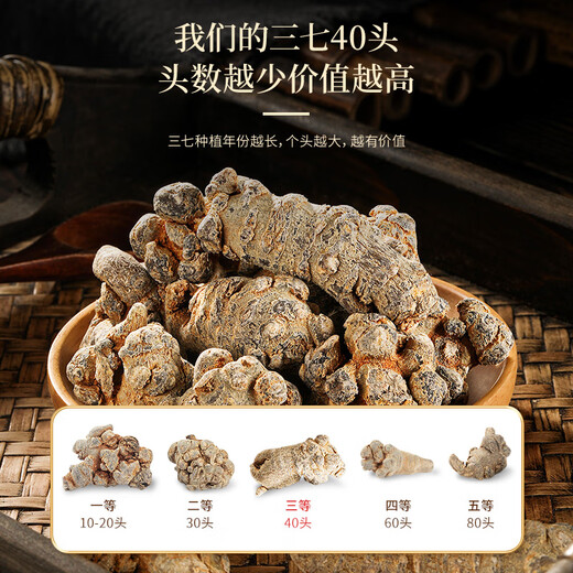 Fudonghai Panax notoginseng 250g (Yunnan Wenshan) 40 Panax notoginseng powder tonic