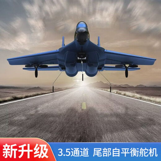Dwi fly 200 meters high remote control airplane children's fixed-wing electric aircraft fighter foam boy toy 2.5 channels - can fly 200 meters high blue four batteries battery life 2 hours + multi-charger