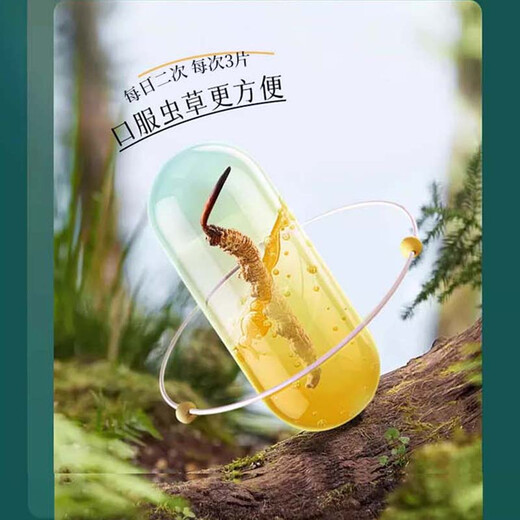 洲龙堂冬虫夏草纯粉含片滋补礼盒鲜虫草营养品补品保健品滋补佳品 冬虫夏草含片 36片礼盒装