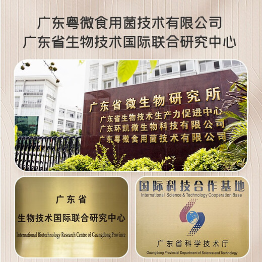 Yueweiquan Ganoderma spore powder, immune-modulating enzymatic broken polysaccharide triterpene, health care product for middle-aged and elderly adults, gift gift, 30 bags*12 boxes, half-year supply