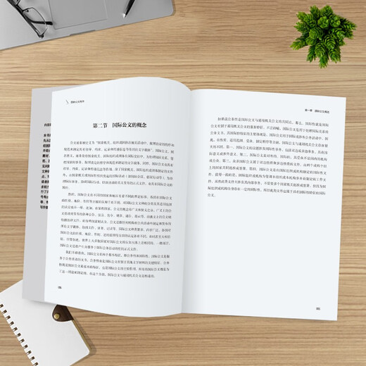 Internationales Verfassen von Dokumenten (Reihe „Global Governance und internationale Kompetenzkultivierung“)