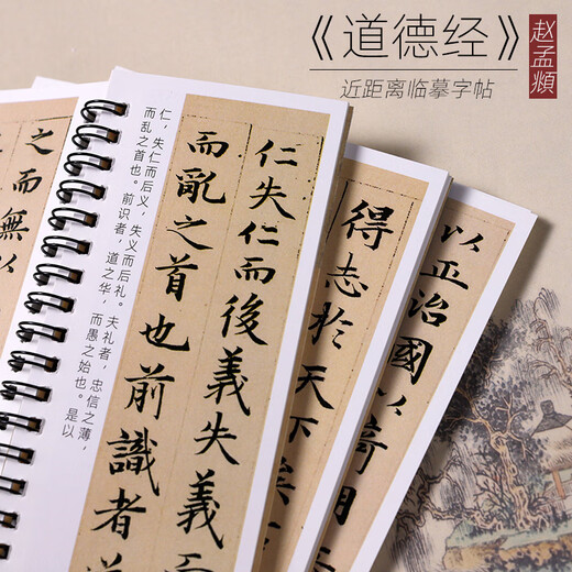 Wanling Wen Yun, Zhao Mengfu, small regular script, Tao Te Ching, regular script, brush calligraphy, copybook, close copy of the original calligraphy, Laozi's original large stele calligraphy, close copy card, calligraphy card