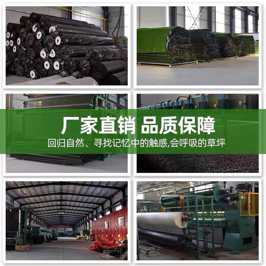 Engineering fence lawn cloth artificial simulated fake turf paving green mesh plastic carpet outdoor decoration green wall 2.0 mesh extra dense adhesive three-color grass 2 meters x 25 meters