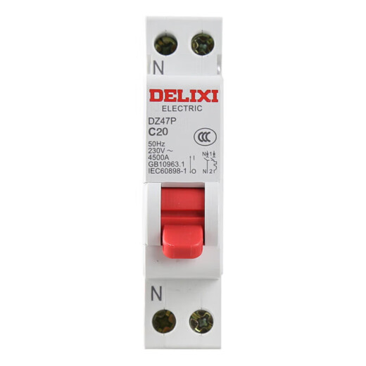 Delixi Electric air switch micro circuit breaker air switch double in and double out DZ47P1P+N20A