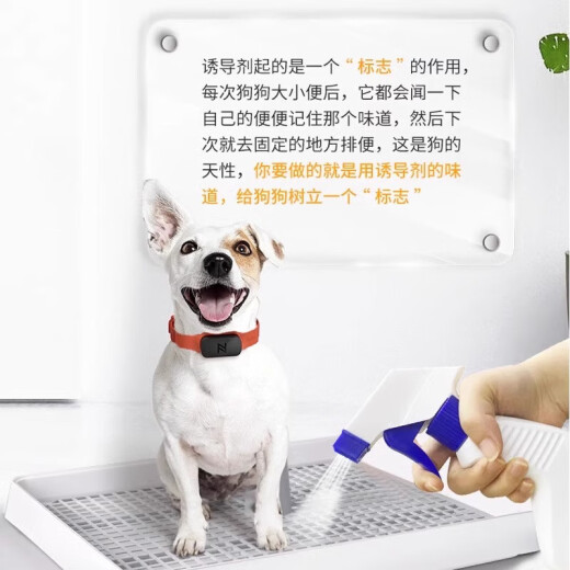 Dog induction agent, dog urination and defecation in the toilet, fixed-point defecation, anti-dog peeing and peeing, positioning guidance training spray, one bottle