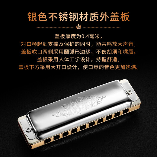 SEYDEL德国进口SEYDEL赛德 十孔10蓝调成人口琴 1847 CLASSIC 10孔E调