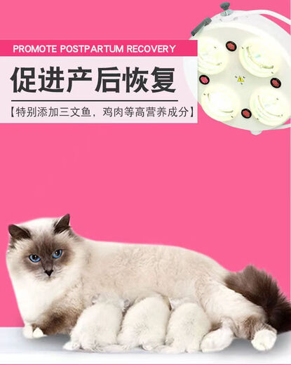 TING HAO Cat Food for Cat Mothers during Lactation, Nutrients for Pregnant Cats, Breastfeeding, Confinement, Mother Cats, Lactation, Postpartum, Fish Flavor Cat Food, 3 Jin Jin equals 0.5 kg