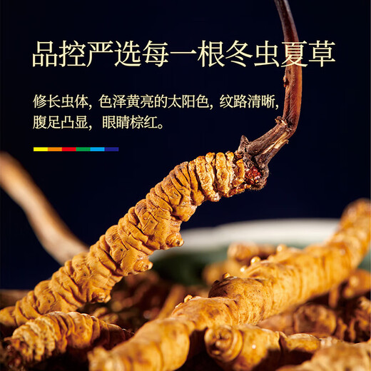 北京同仁堂【双十一活动入口】冬虫夏草虫草干货冬虫草夏虫草高 虫草10根