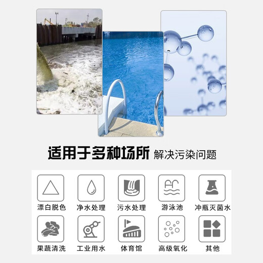 LDSECO Landis Water Treatment Oxygen Source Ozone Generator Sterilization, Disinfection, Bleaching and Decolorization Sewage Treatment Ozone Disinfection Machine LCF-G/O-3
