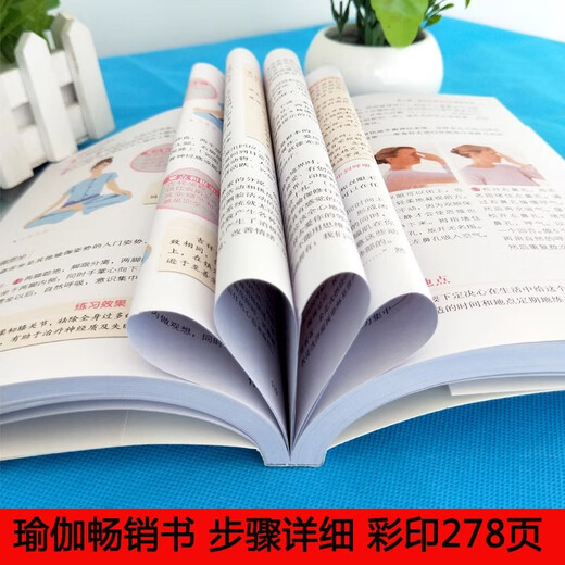 Genuine yoga book, yoga from beginner to proficient, from novice to expert, zero-based yoga fitness and beauty book, beginner yoga book, Pilates tutorial, yin yoga, beginner yoga textbook