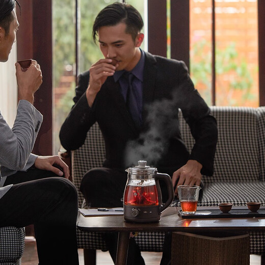 Bear Tea Maker Healthy Kettle Steam Spray Type Glass Thickened Black Tea Make Tea Kettle Small Mini Office Tea Steamer Fully Automatic Tea Stove Electric Kettle ZCQ-A10X1 Spray Type Tea Maker 1L