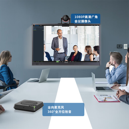 Runpu video conference room solution is suitable for 10-20 conference camera/camera/omnidirectional microphone software system terminal RP-T1