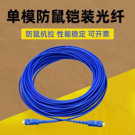 Armored fiber optic jumper SC to LC-FC-ST rodent-proof and tensile-resistant single-mode single-core 10M/30/50m pigtail extension Telecom-grade armored single-mode single-core FC-ST 20m