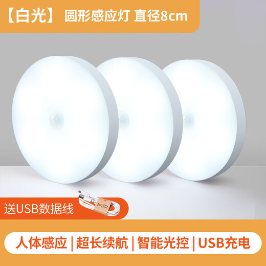 诺锋人体感应灯夜间自动亮灯家用过道智能光控充电小夜灯老人儿童地脚 【三个装】感应白光