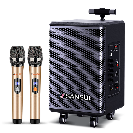 SANSUI TE06 square dance audio 8-inch subwoofer mobile outdoor karaoke rod speaker wireless microphone stall speaker electric acoustic guitar folk instrument speaker high power