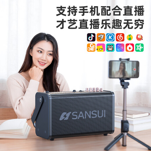 SANSUI portable portable speaker square dance audio speaker with KTV wireless microphone small live broadcast karaoke audio mobile outdoor high-power sound card karaoke E73 ten speakers + sound card sound effect