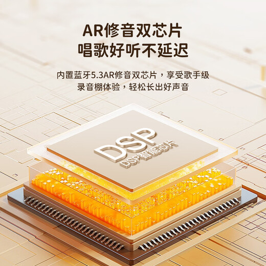 Newmine MC76 microphone and audio integrated sound card karaoke microphone home ktv audio set wireless bluetooth speaker singing artifact all-in-one TV children's dual microphone