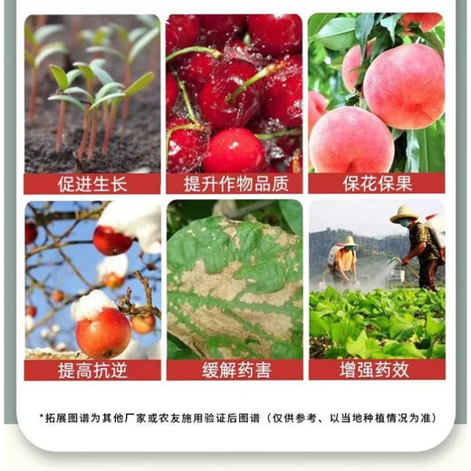 Benzyl gibberellin and mycolic acid Benzyl gibberellin Benzyl amino purine Cuihua flower and fruit growth regulator 500g 2 bottles