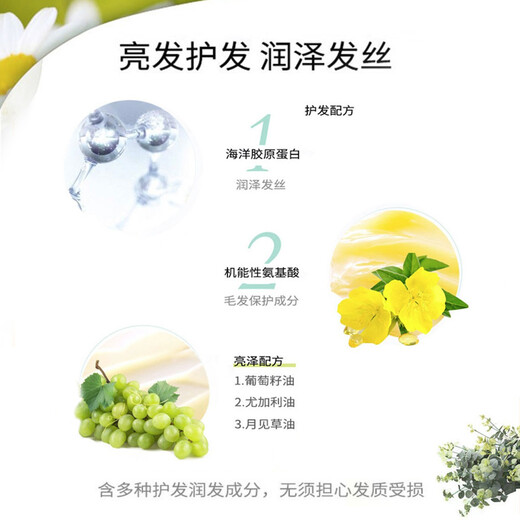 Xuanruo (CIELO) Xuanruo hair dye mousse 100g (dark chestnut brown 6) imported hair dye cream, bright hair care, moisturizing hair