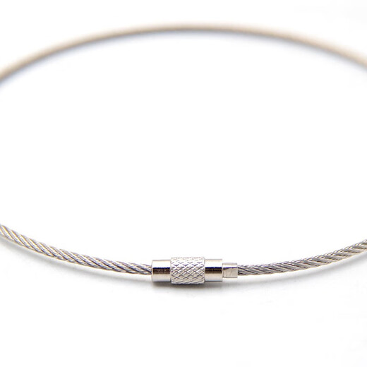 Jinguluo Today/next day delivery Wire lock buckle Wire rope key ring Stainless steel wire ring 2.0mm*30cm (10 pieces) KZS-1127