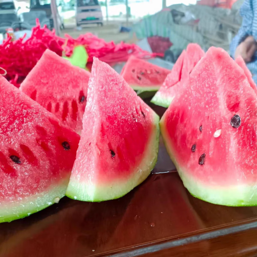 Wangyuanxing Daguomeidu Watermelon Seeds Resistant to Cracking Big Red Flesh Rock Sugar Kirin Super 8424 Crispy Sweet Watermelon Seeds 50g Can Daguomeidu 2 Cans