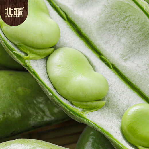 北蔬 蚕豆种子苗大胡豆早熟本地适合南北方耐寒菜籽 农家蚕豆种子500g