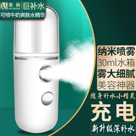 Anshang Oxygen Injection Instrument Home Hydrating Instrument Nano Sprayer Face and Eyes Beauty Instrument Moisturizing Magic Instrument Humidification Instrument Steaming Instrument for Wife, Mother, Girlfriend Birthday Gift Rechargeable 30ml Nano Spray White