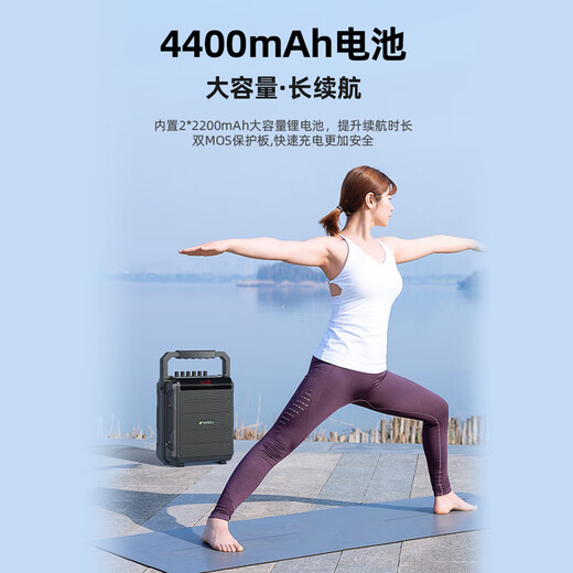 SANSUI Portable portable karaoke audio mobile belt outdoor high-power integrated KTV square dance audio small live broadcast speaker karaoke double wireless microphone stereo sound effect + dual microphone + sound card sound effect