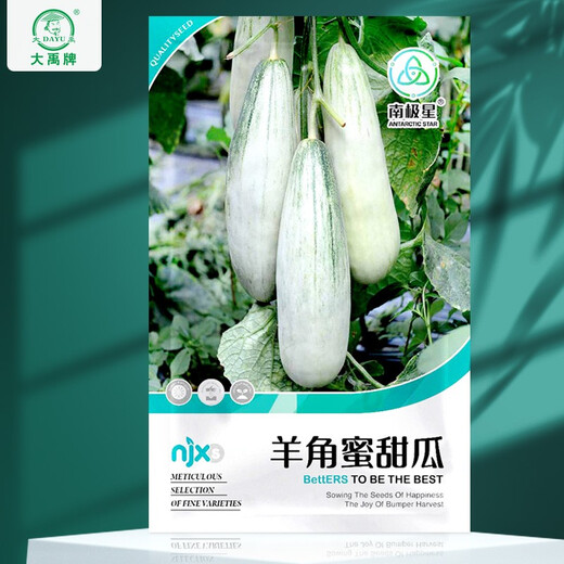 Dayu croissant melon seed seedlings winter and spring Shandong fruit melon seeds collection Antarctic star croissant melon seeds 50 capsules
