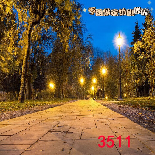 Anchor Live Broadcast Room Outdoor Night Szenen Street Light Rural Road Szenerie Stoff 3D Dreidimensionales Internet Celebrity Live Broadcast Hintergrundtuch 2 Meter breit 2 Meter hoch 109