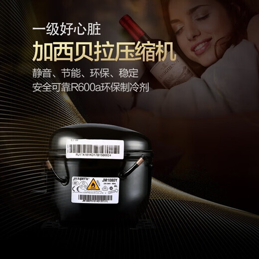 Odino National Warranty Export Quality Odino Red Wine Cabinet Compressor Refrigeration Constant Temperature Wine Cabinet Wine Foreign Wine Cabinet Freshness Cabinet BJ-435 550 Thin Full Display Model 338L