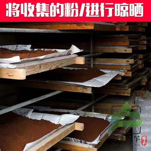 Ganoderma spore oil soft capsules authentic Changbai Mountain Ganoderma spore oil Ganoderma spore powder extracted high Ganoderma triterpenes Ganoderma spore oil 2 bottles