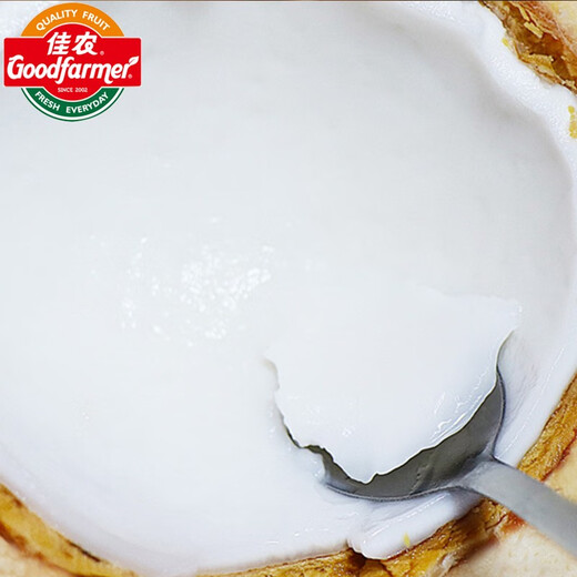 Goodnon Thai Coconut Green Fresh Coconut 9 Original Boxes Seasonal Fruit Imported Coconut Perfume Yeqing Free Coconut Opener 9 Whole Boxes (Single Fruit 750g or More)