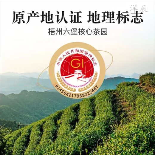 Wanglanchuan Wuzhou Guangxi Premium Liubao Tea Ten Years Old Dehumidified Dark Tea Ripe Tea Boxed Gift Tea Wuzhou Specialty Ten Years Old Authentic Liubao Tea Half Jin Jin equals 0.5kg Canned Gift