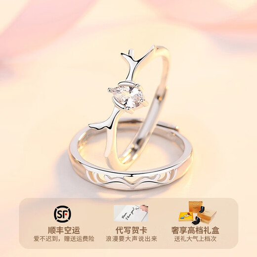 Ji Shizhe (GIEVSZHE) PT950 platinum ring, platinum, Yilulu You, a proposal, wedding couple, ring engraving, Valentine's Day gift, Yilulu You, a platinum pair of rings (the opening can be adjusted) (free engraving)