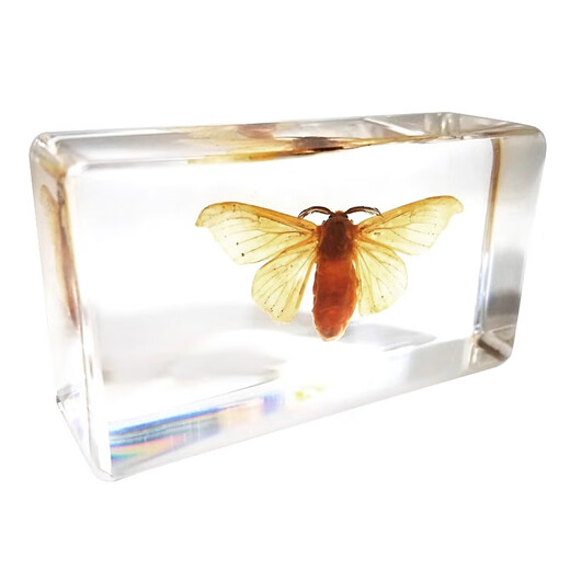 Indigo crystal glue mold rectangular to make insect specimens epoxy resin ab amber handmade DIY material three-dimensional No. 03 10cm rectangular silicone mold