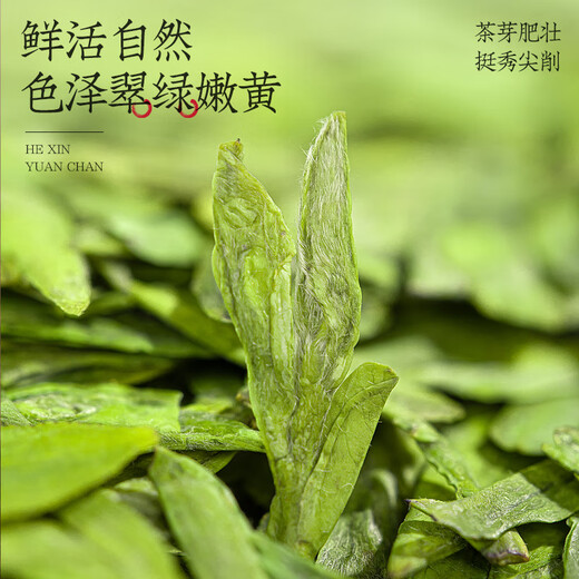 Fumingyuan té verde té Longjing sabor a frijol Mingqian 2025 nuevo té enlatado 60g té tierno de primavera para usted