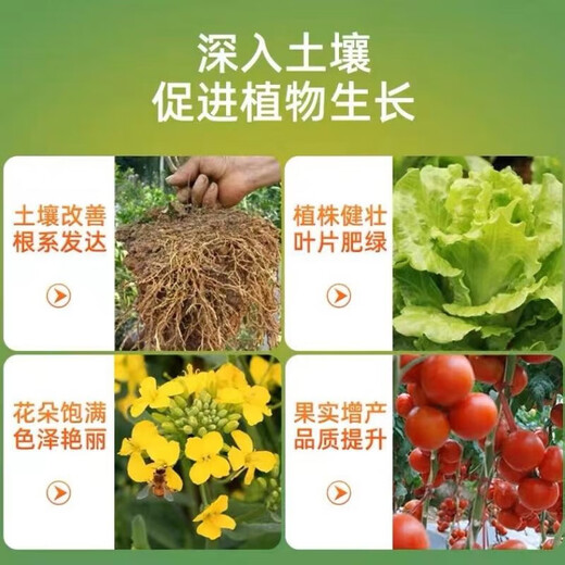 Yuntianhua Phosphate Fertilizer Granules Superphosphate General Flowering Fertilizer Household Fruit Tree Vegetable Green Plant Compound Fertilizer 100 Jin Jin equals 0.5 kg Phosphate fertilizer (high concentration) 20 Jin Jin equals 0.5 kg