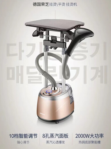 Double steam garment steamer household iron for ironing clothes commercial handheld ironing machine flat hanging dual-purpose vertical HY-1606 fragrant powder (without ironing board)