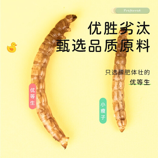 Pet Le Man Cole Duck Mealworm Dried Snacks Rutin Chicken Hamster Food Turtle Food Bird Food Feed Supplies Nutritional Beautiful Hair and Bright Feathers Luxury Full Price Pet Duck Food-Adult Duck 4000ml