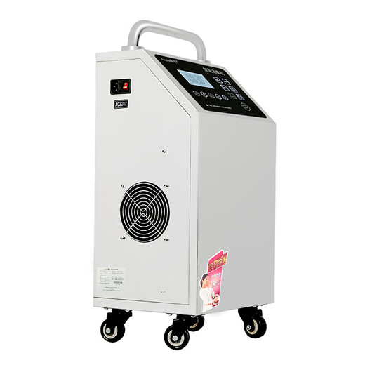 Fogha 10g 20g tempered touch panel remote control timing 304 material ozone disinfection machine ozone generator food factory school water sterilization 1510A-Y (CM) 20G