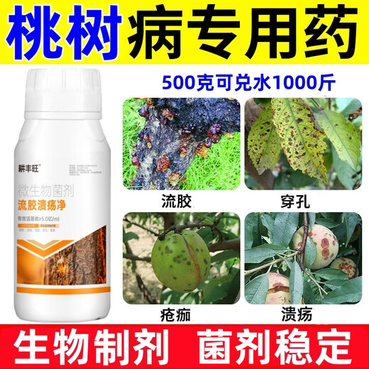 Gengfengwang peach tree gum disease special medicine peach tree gum disease one spray to clean peach tree scab disease perforation canker peach tree gum disease medicine 500ml (can be mixed with 1000Jin Jin equal to 0.5 kg of water)